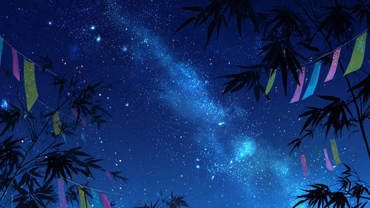 7月7日は、なにかをそっと始めたくなる日。― 七夕と一粒万倍日が重なる夜に ―